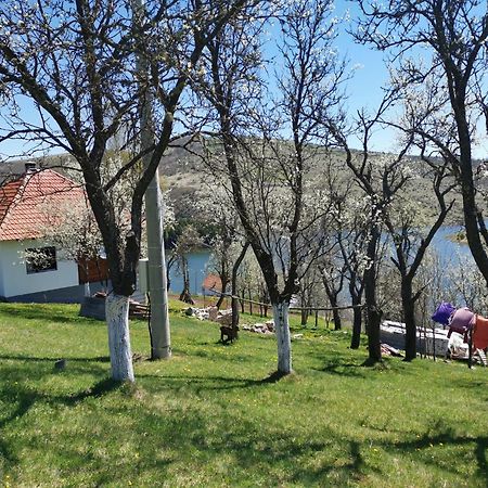 Uvac Griffon Villa Nova Varoš Exterior foto