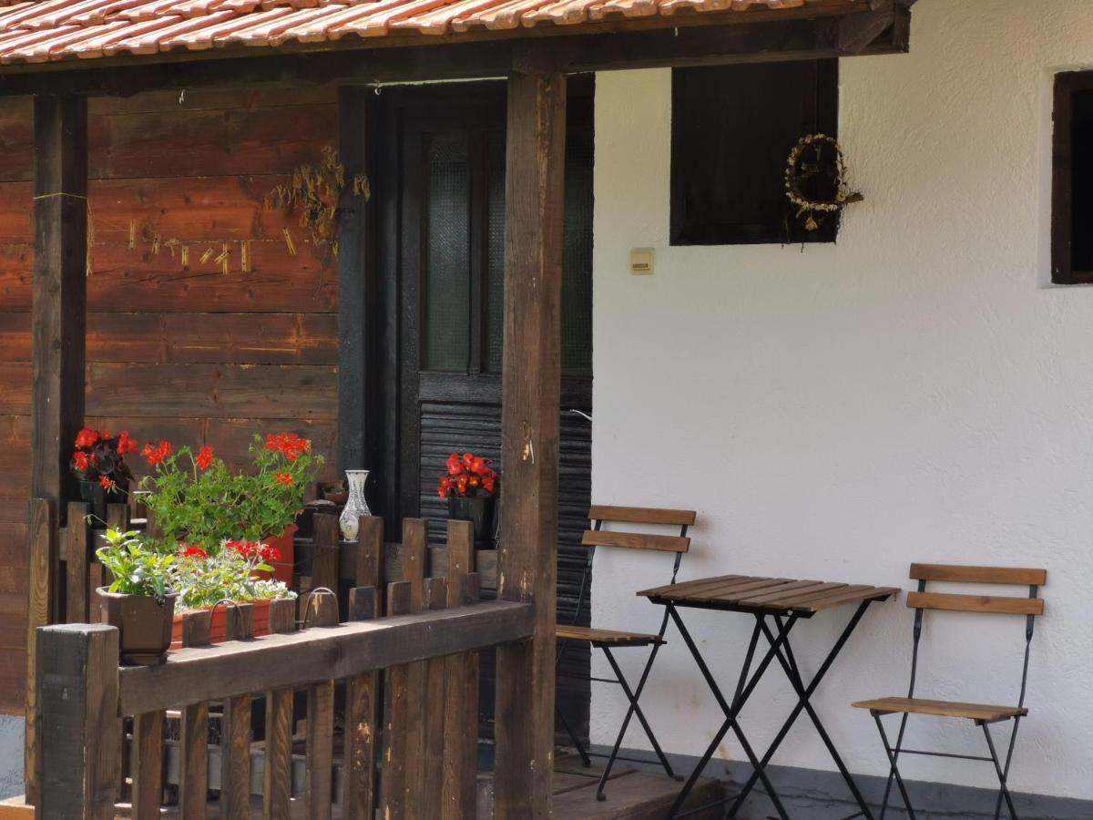 Uvac Griffon Villa Nova Varoš Exterior foto