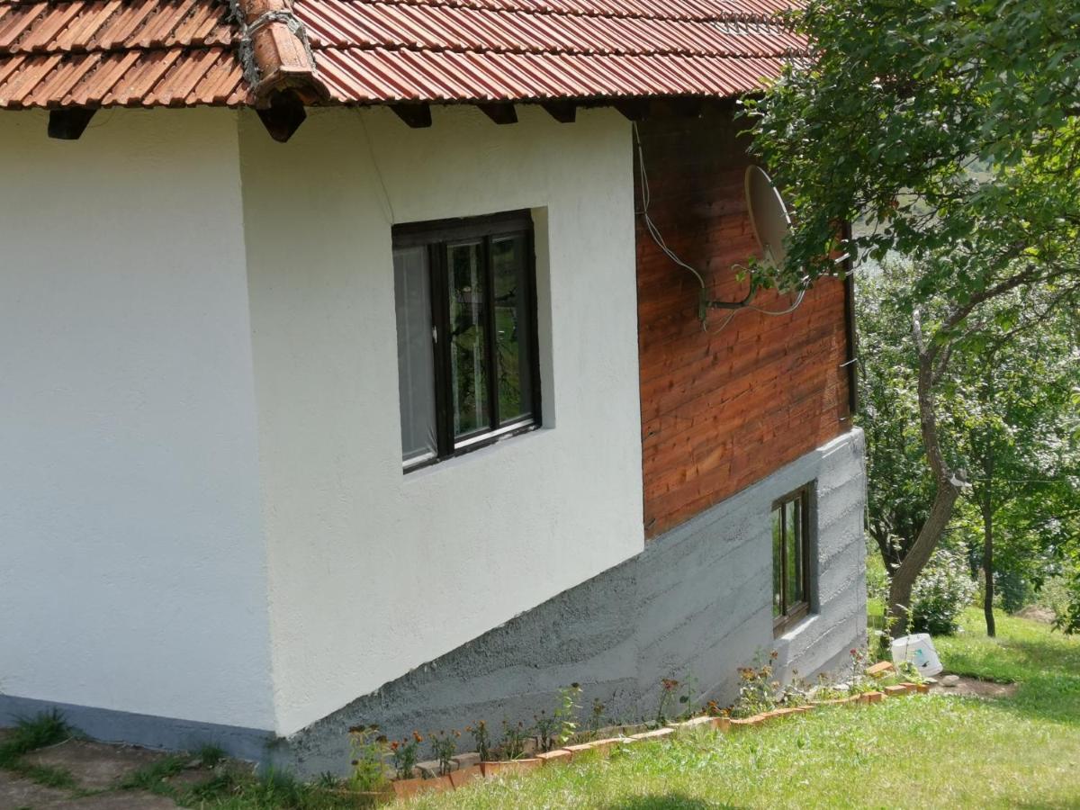 Uvac Griffon Villa Nova Varoš Exterior foto