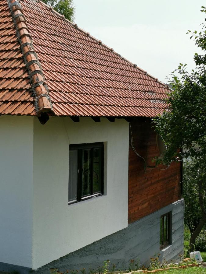 Uvac Griffon Villa Nova Varoš Exterior foto